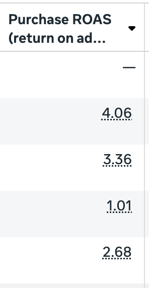 E-commerce client · Meta Ads — Best ad set hitting 4.06× ROAS